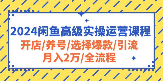 2024闲鱼高级实操运营课程：开店/养号/选择爆款/引流/月入2万/全流程-互创学社