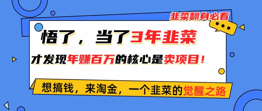 悟了，当了3年韭菜，才发现网赚圈年赚100万的核心是卖项目，含泪分享！-互创学社