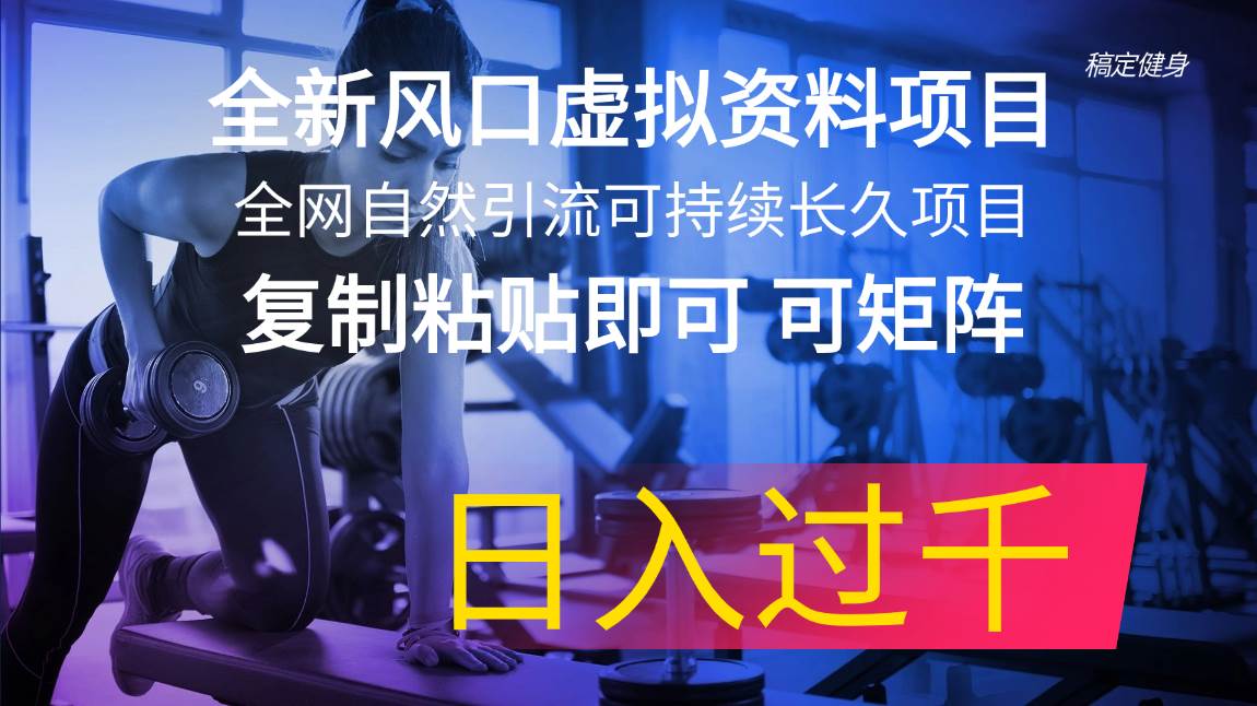 全新风口虚拟资料项目 全网自然引流可持续长久项目 复制粘贴即可可矩阵…-互创学社
