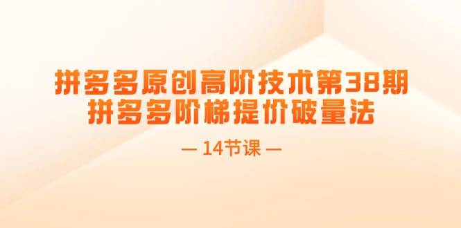 拼多多原创高阶技术第38期，拼多多阶梯提价破量法（14节课）-互创学社
