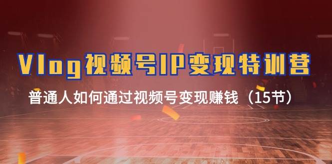 Vlog 视频号IP变现特训营，普通人如何通过视频号变现赚钱（15节）-互创学社
