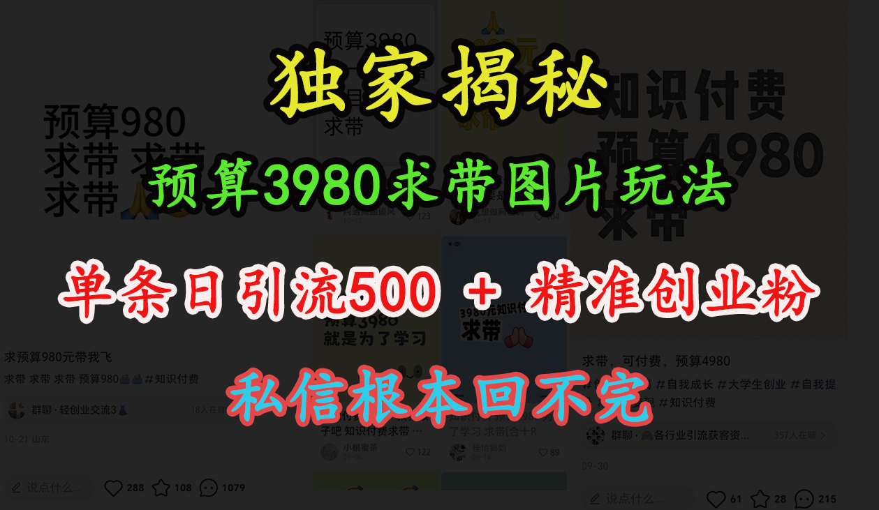 “小红书”预算3980求带 图片玩法，单条日引流500+精准创业粉，私信根本回不完-互创学社