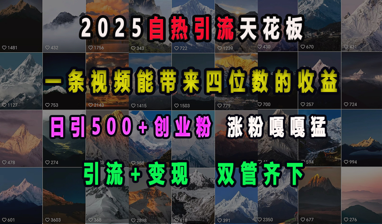 2025自热引流天花板，一条视频能带来四位数的收益，引流+变现双管齐下，日引500+创业粉，涨粉嘎嘎猛-互创学社