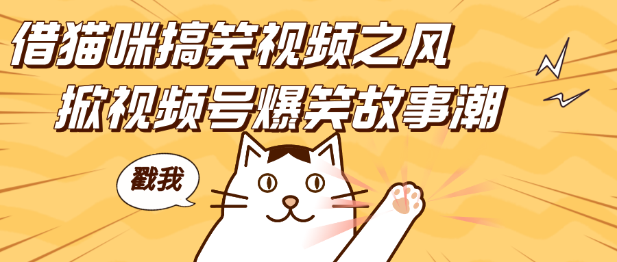 借猫咪搞笑视频之风，掀视频号爆笑故事潮，轻松日赚四位数，开启无门槛赚钱新体验！-互创学社