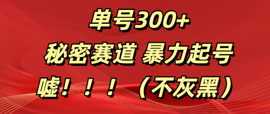单号300+  秘密赛道 暴力起号  （不灰黑）-互创学社
