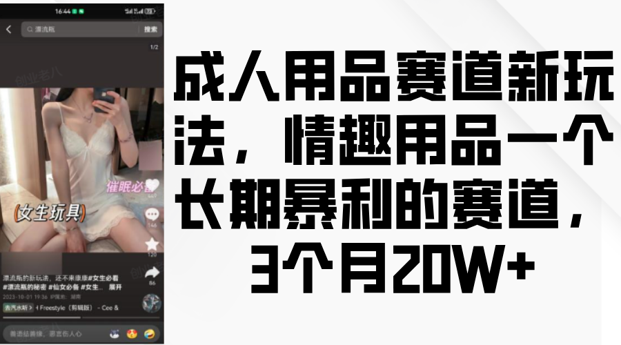 情趣用品一个长期暴利的赛道，成人用品赛道新玩法，3个月20W+-互创学社