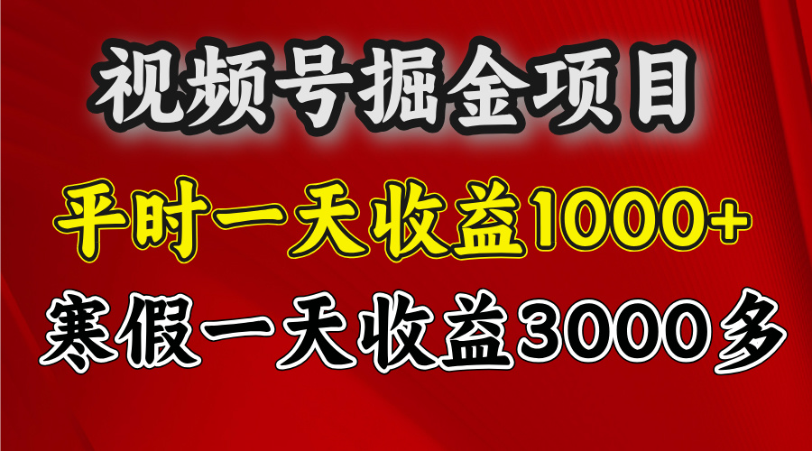 视频号掘金项目，寒假一天收益3000多-互创学社
